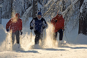 Schneeschuhwanderungen durch tief verschneite Wälder und Wiesen