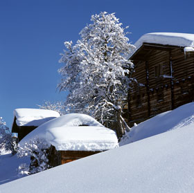 Herrliche Winterlandschaften